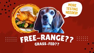 Steves Real Food Raw Dog Food Review / Freezedried Raw Dog Food Reveiw