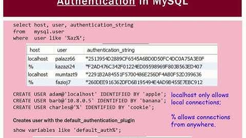 RDBMS 3.0 Database Security Overview