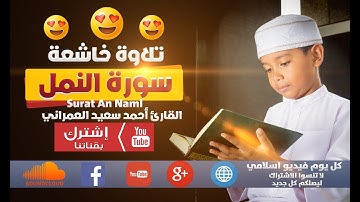 تلاوة خاشعة سورة النمل - أحمد سعيد العمراني Surat An Naml | كل يوم فيديو إسلامي