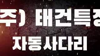 태건 자동사다리