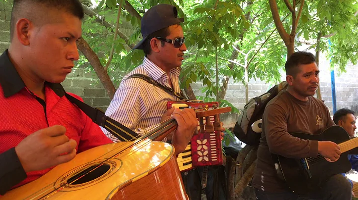 Ilamacingo Puebla  - Corrido De Efren Ortega .. 10...