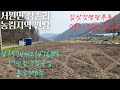 농사짓고 농가주택 가능한 도로접 싸고좋은땅 접근성좋고 강추033-344-8022 매번40719