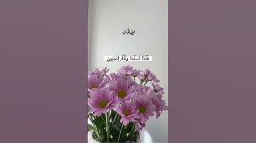 رعد الكردي تلاوه خاشعه من سوره الصافات