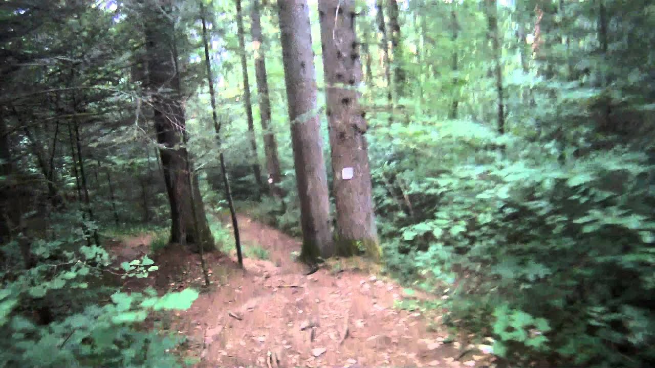 Essaie Scott gambler 730