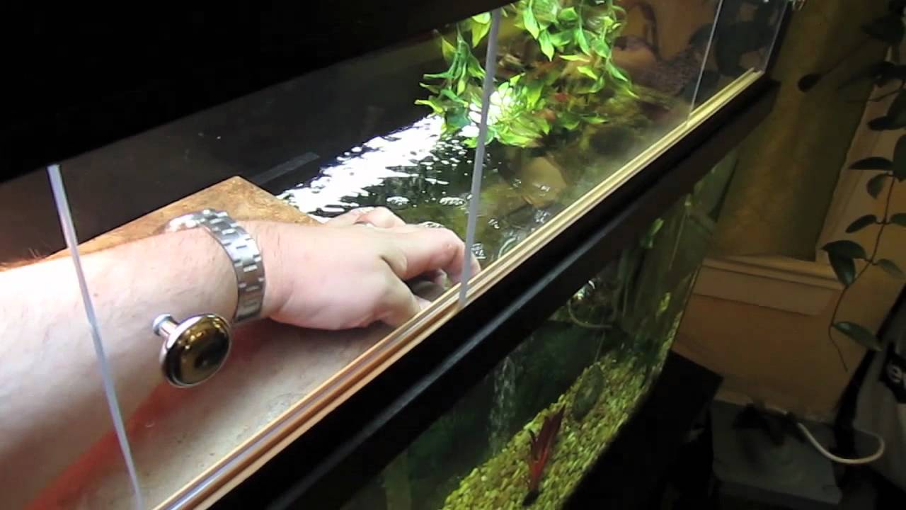 Above Tank Basking Area Details Youtube