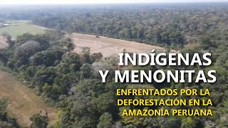 Indígenas y menonitas se enfrentan por deforestación en la Amazonía peruana