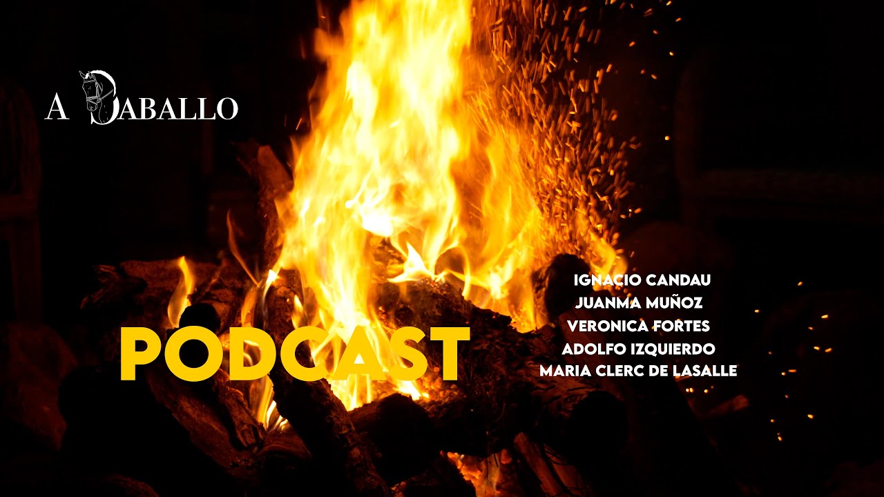 Fundamentos Sólidos: La Clave para una Doma Equina Duradera y Saludable