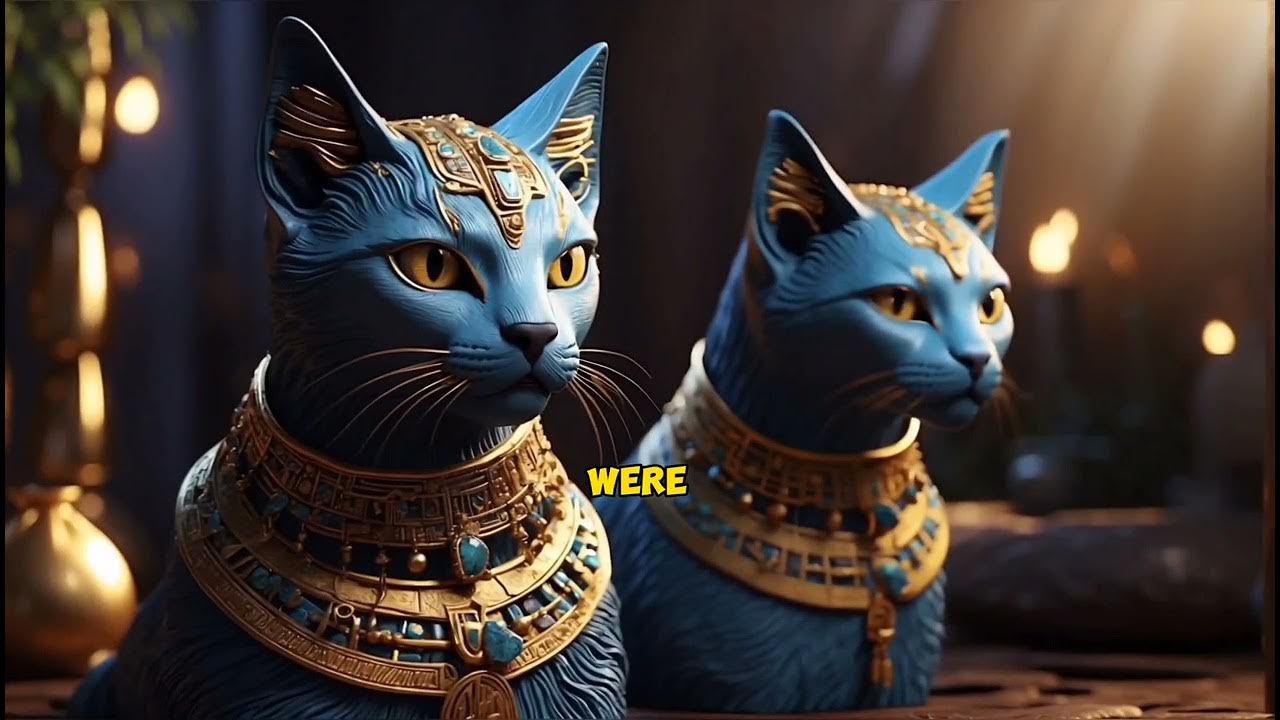 If a cat crosses your path, why not read further YouTube