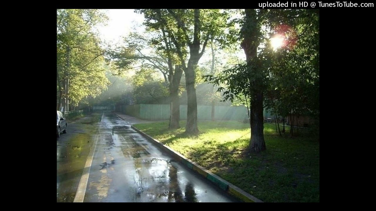 sunflower seeds type beat