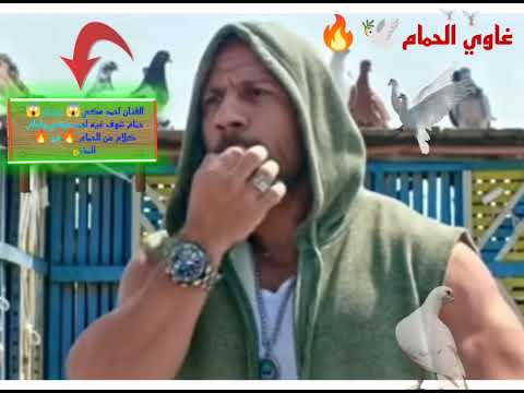 شاهد الفنان احمد مكي وهو بينش الحمام وكلام جميل عن غيه الفنان احمد مكي