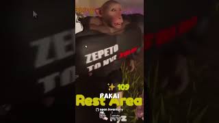 Yeh... Zenem Lu.. Zepeto Lapan Enem..