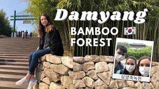 Bamboo Forest + Things to do in Damyang 담양 | Travel Vlog in Korea