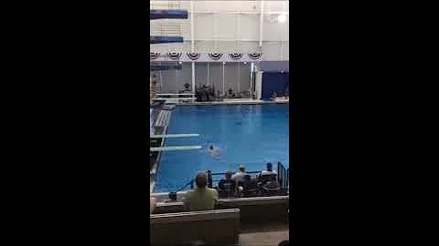 Max Fowler USA Diving 2021 Zone A 1M and 3M dives