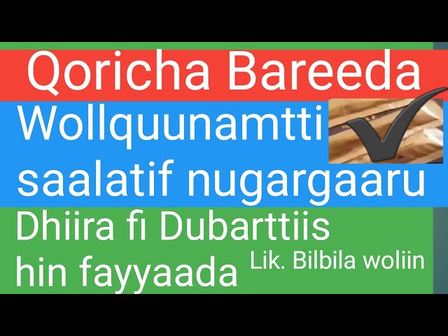 Qoricha qaama dhiira jabeessu fi fedhii wolquunamtti saala dabalu Lakkofs bilbila woliin Dubartiifis class=