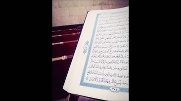 سورة نوح | الشيخ : جهاد زيد | 1436