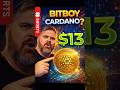 see a wonderful cardano 💥#bitcoin #bitboycrypto #cardano #criptocarancy #bitx #blockcard #btc #shora