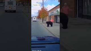 Granny's  bear  chasing ice cream #bodycam #dashcam #funny #ai #cop #sora2 #grandma #bear