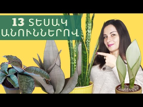 Video: Ինչպես լողանալ նոր պիրսինգով. 11 քայլ (նկարներով)