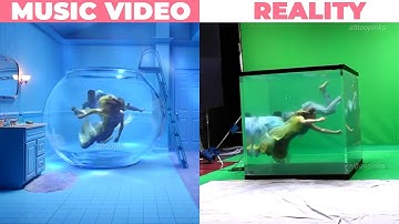 Taylor Swift’s Lover Era: Music Videos vs Reality