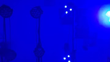 A quick demo of QLC+ controlling the lights