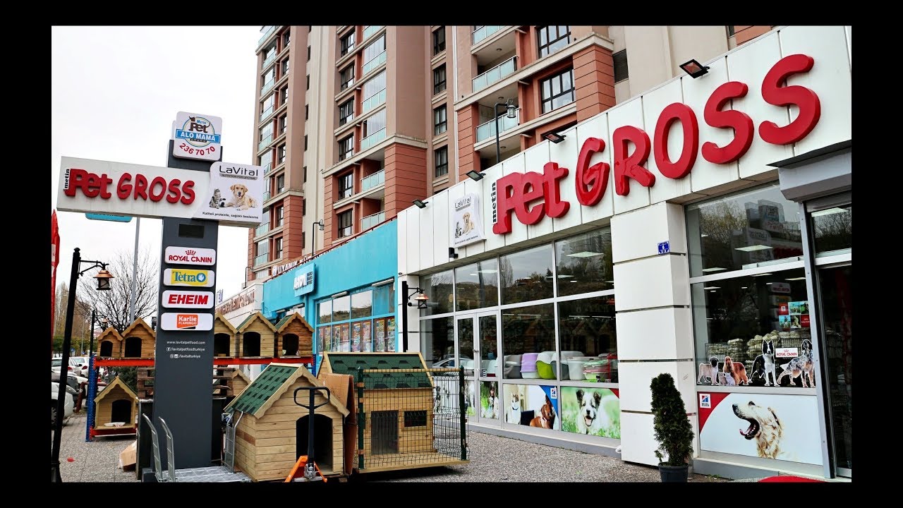 2m Pet Gross Ankara Nin En Buyuk Evcil Hayvan Magazasi Youtube