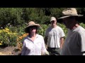 Moraga Gardens By Clayton Roth Moraga Gardens By Clayton Roth