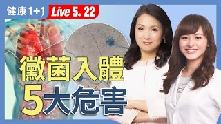 看不好的病竟是黴菌搞鬼？黴菌毒素入侵日常，身體在慢性中毒？【營養師 賀菡懿｜健康1 1 JoJo】（2025.5.22）｜健康1 1 ·直播