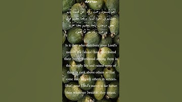 سورة الزخرف من الأية 32 الى 32 محمد أيوب