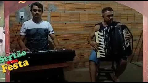 Domingo Rocha da sanfona - Forr do P de Bode  (SF-...