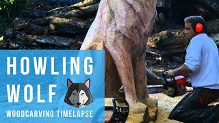 INCREDIBLE "Howling Wolf" Chainsaw Woodcarving Timelapse Timelapse of the carving of the Bury St Edmunds wolf statue. Check out the story of it