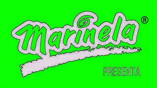 The Ultimate Full Best Animation Logos In Autovocoding