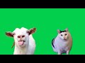 Green screen goat talking to clueless huh cat meme