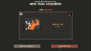 TF2: Unboxing a Mann Co Audition Reel