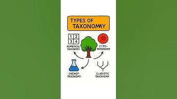 🌿Types of Taxonomy Explained!📚 Numerical, Cyto, Chemo & Cladistic Taxonomy #Biology #neet #Shorts