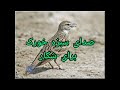 صدای سبزه خورک بهترین صدا برای شکار کردن