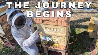 Single Brood Chamber Management - The Journey Starts !