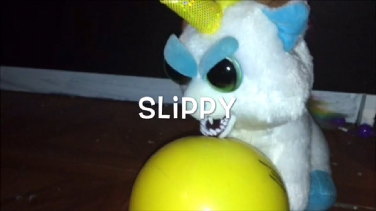 The Feisty Pets Show!: Slippy - YouTube