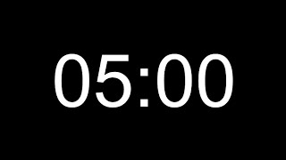 5 Minute Timer / 300 Seconds Timer