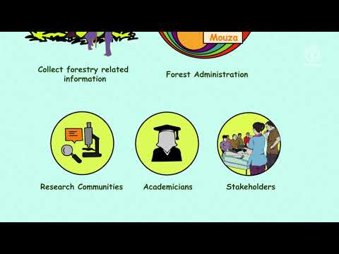 What Is The Total Forest Area Of Bangladesh