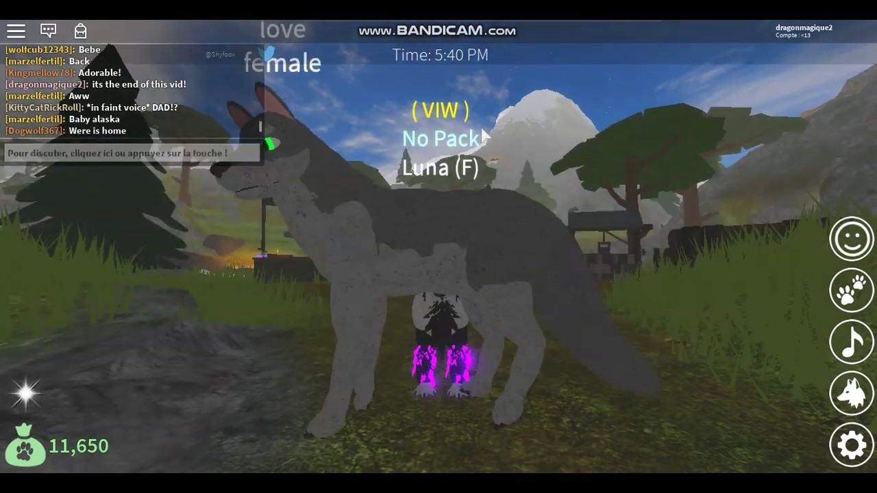 Wolves S Life 3 Skins Ideas Roblox Youtube - wolves life roblox wolf skins