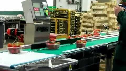 Checkweighers and sorting system