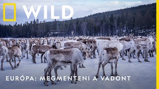 Megmenteni a vadont szeptember 5-től szombat és vasárnap 18:00 |  National Geographic WILD