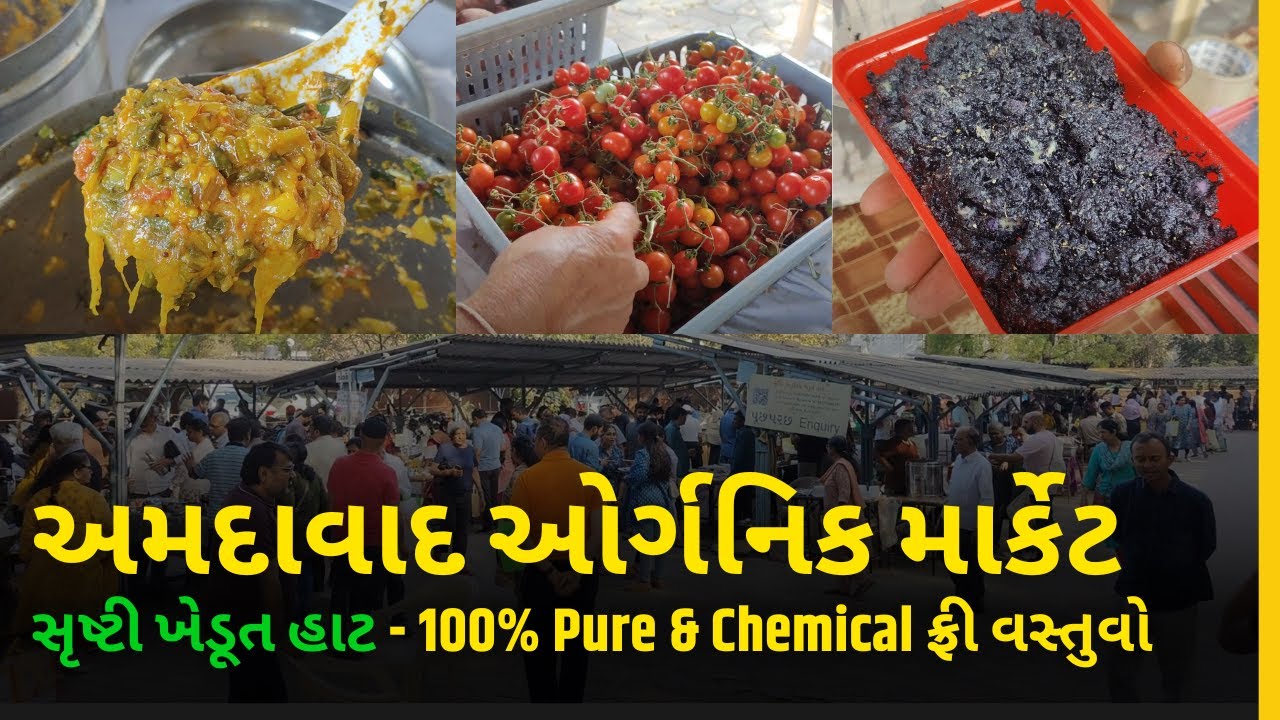 અમદાવાદમાં ઓર્ગનિક માર્કેટ 🌿 | Shrusti Prakrutik Khedut Haat | 100% Pure & Chemical-Free વસ્તુઓ