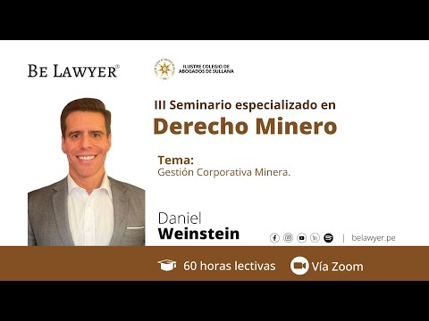 13. Gestión Corporativa Minera.
