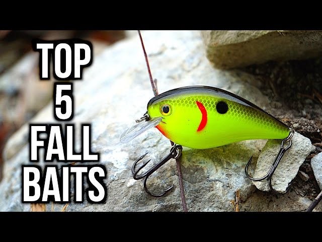 Top 5 Fall Bass Fishing Lures - YouTube Top 5 Fall Bass Fishing Lures - YouTube