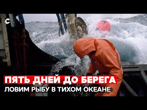 Видео: Океанский гигант. Как работает самый большой в мире плавучий рыбзавод