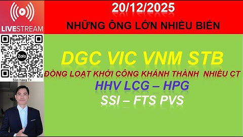 20/12 CỔ PHIẾU DGC VIC VNM STB HHV LCG – HPG  SSI – FTS PVS NGÀY HỘI KHỞI CÔNG - KHÁNH THÀNH
