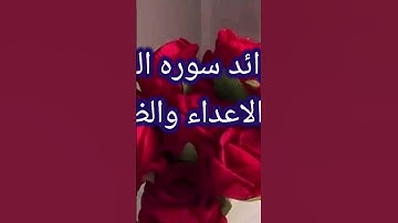 فوائد سوره النجم لقهر الأعداء والظالمين 🤲 الفيديو كامل على القناه.