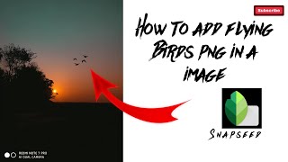 How to add birds in photo android || Mrinmoy Saikia || screenshot 4