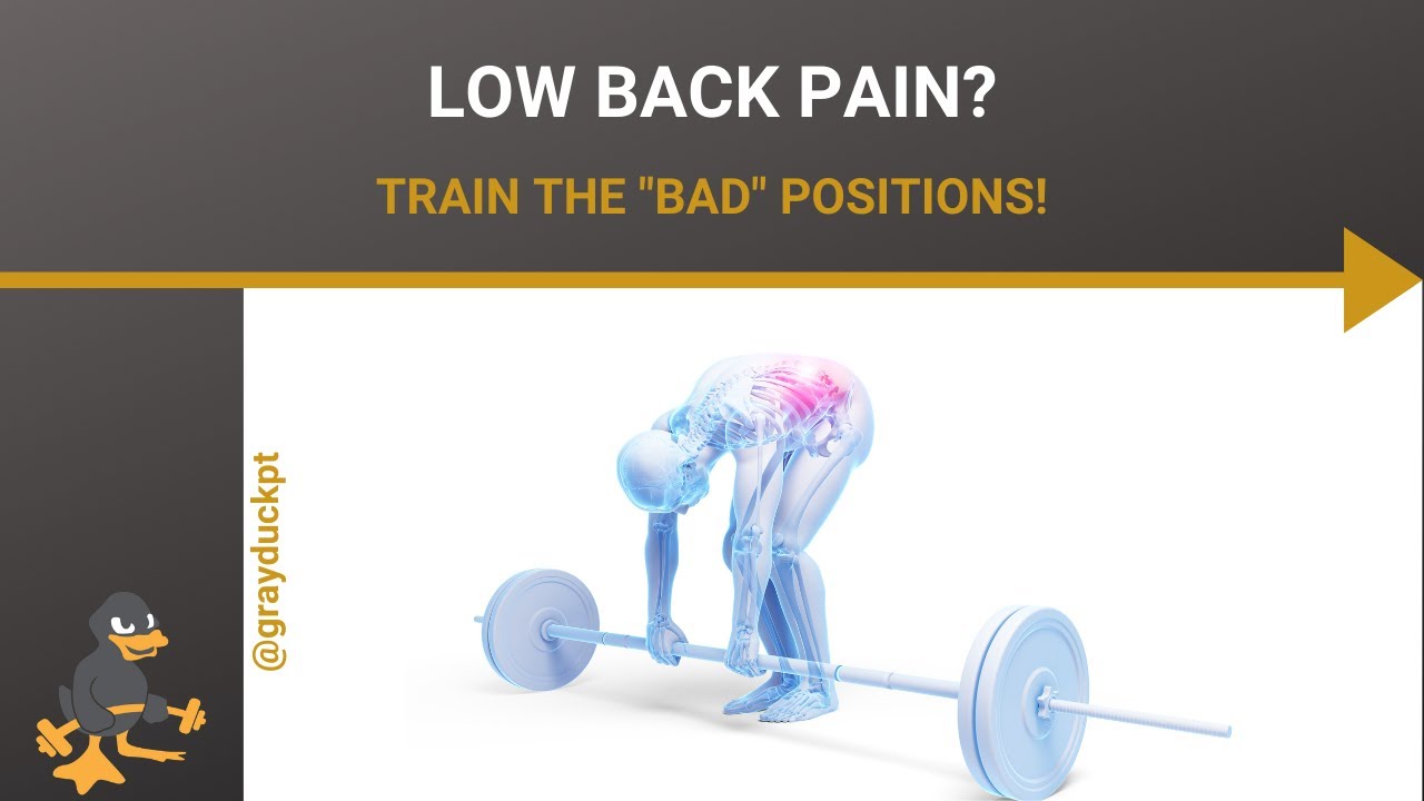 Fix Low Back Pain!  Train Bad Movements!  Physical Therapy Mounds View MN